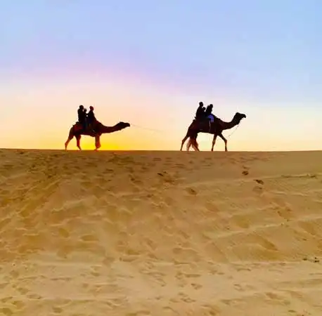 Camel Ride