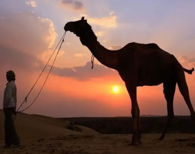 Jaisalmer Stay Dunes Package